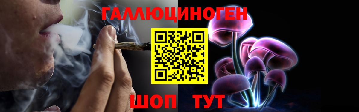 Ревда  Галлюциногенные грибы Cubensis  Вход с VPN 